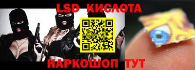 прущие грибы Кингисепп