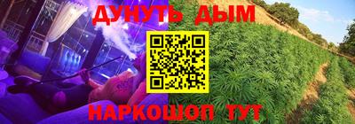 прущие грибы Кингисепп
