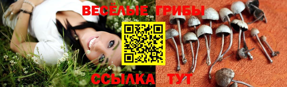 Костомукша  Псилоцибиновые грибы Magic Shrooms  Вход с VPN 